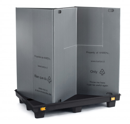 Box Pallet Phylcon