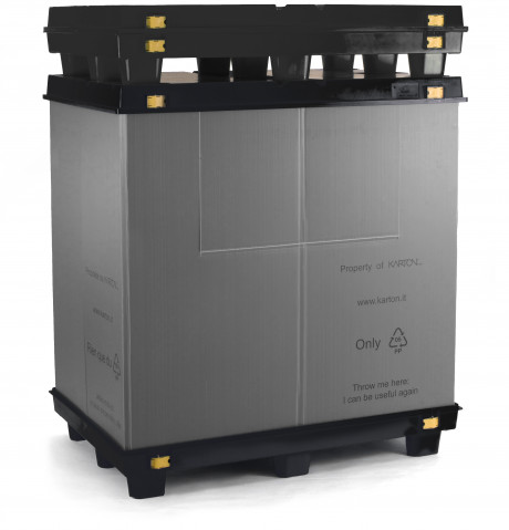 Box Pallet Phylcon
